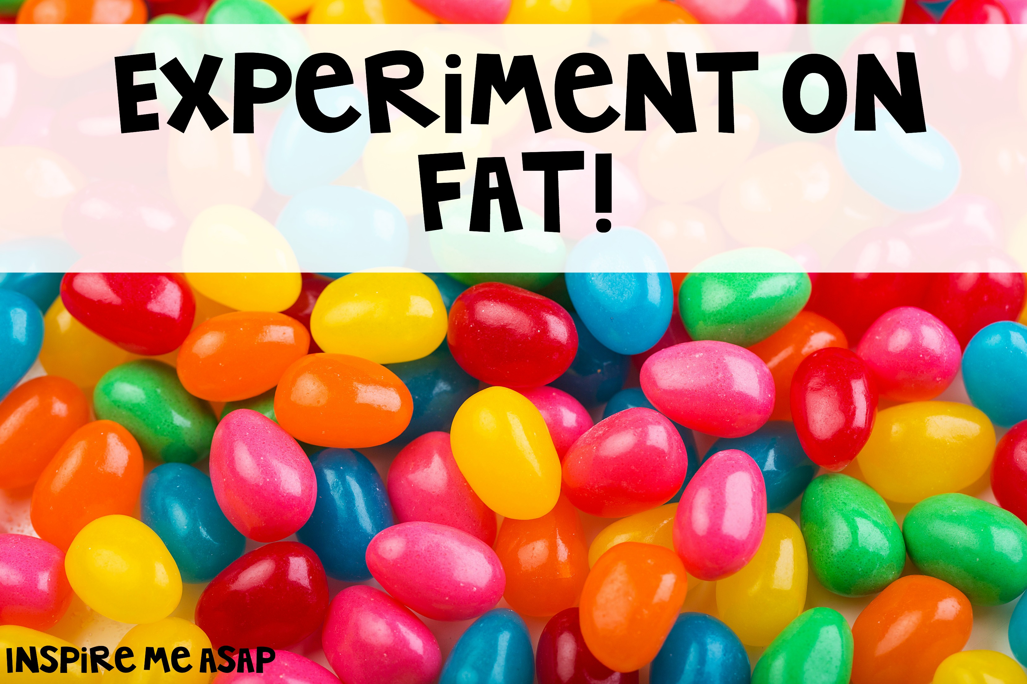 Fat Experiment 18
